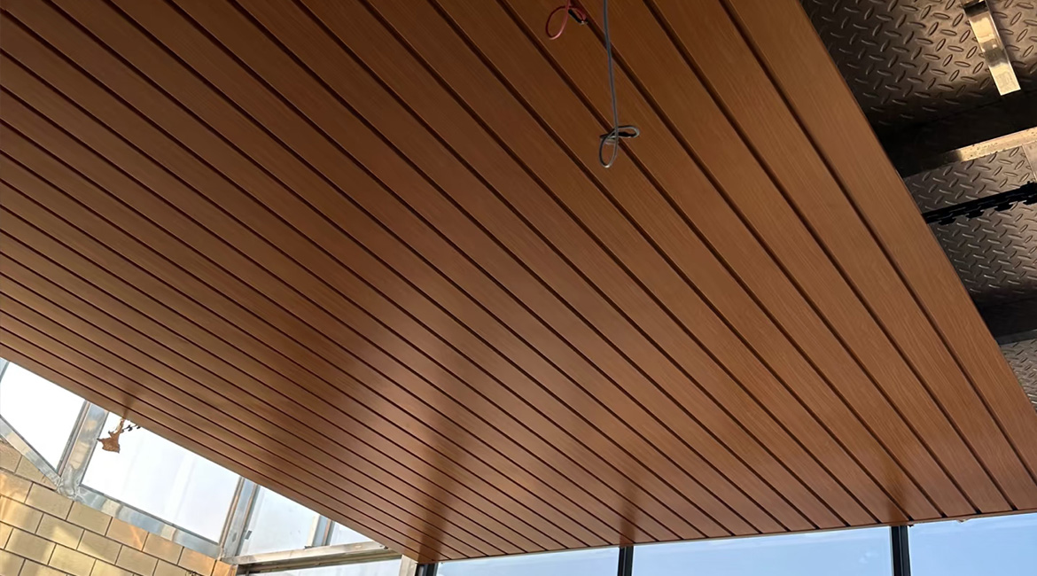 ASA PVC Ceiling Panels